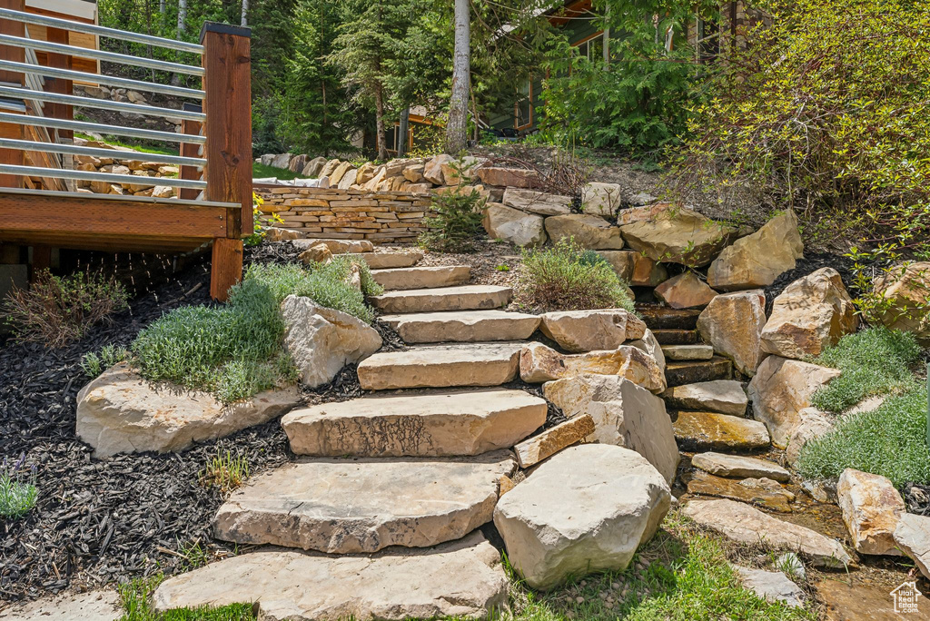View of yard featuring stairs