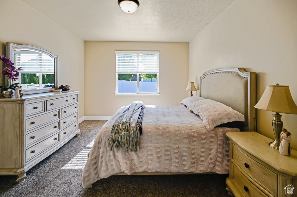 Bedroom with dark carpet, multiple windows, a textured ceiling, and baseboards