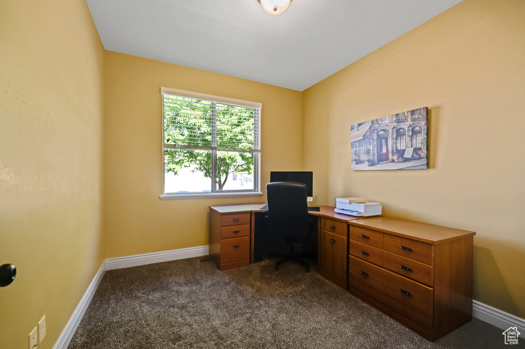 Office area with dark carpet and baseboards