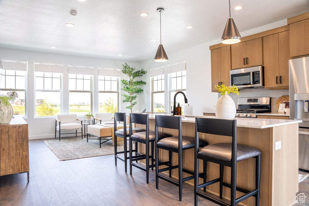 Kitchen featuring stainless steel appliances, dark wood-type flooring, recessed lighting, backsplash, and a kitchen breakfast bar