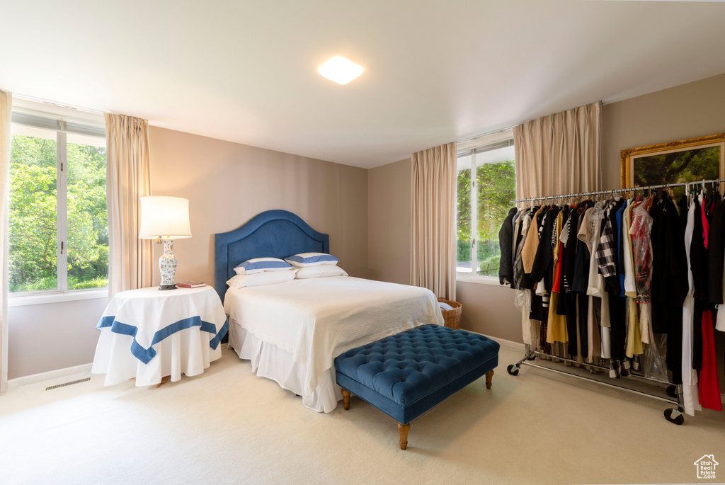 Carpeted bedroom featuring multiple windows, a closet, and baseboards