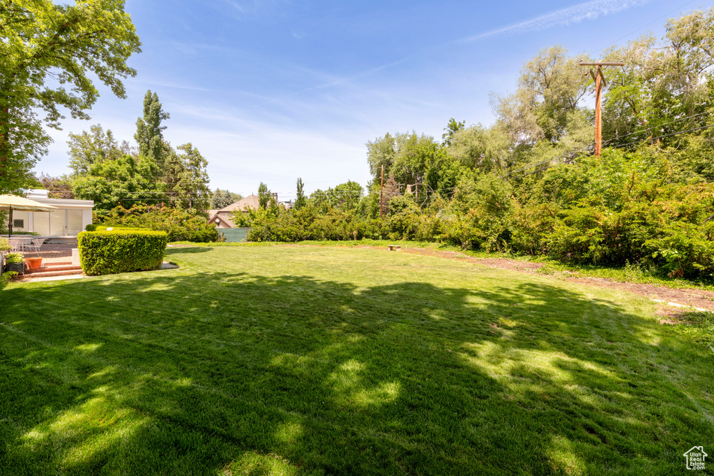 View of grassy yard