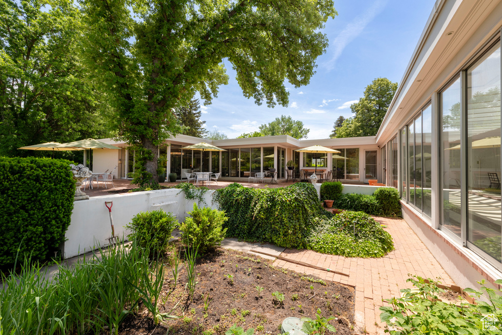 View of yard with a patio and a sunroom