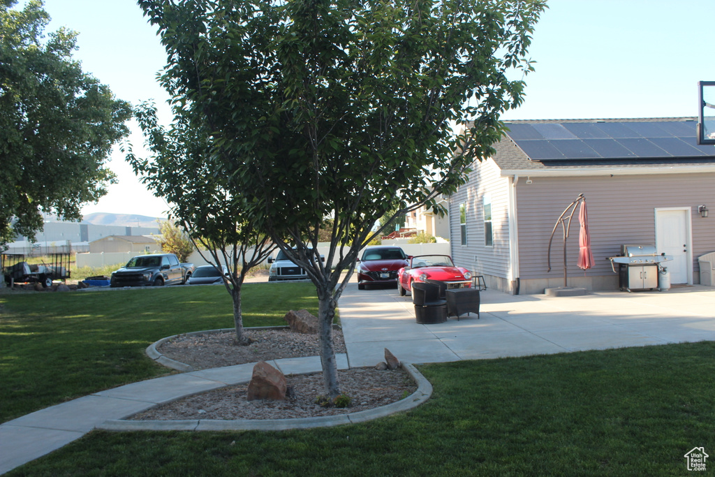 View of grassy yard