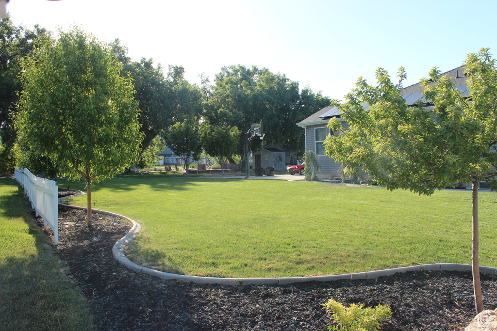 View of green lawn