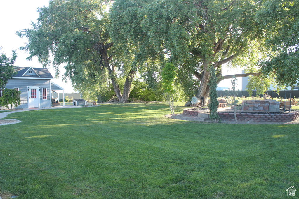 View of grassy yard