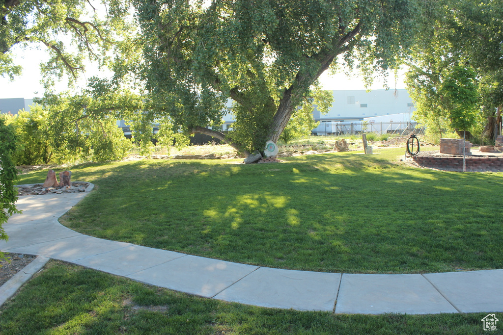 View of green lawn