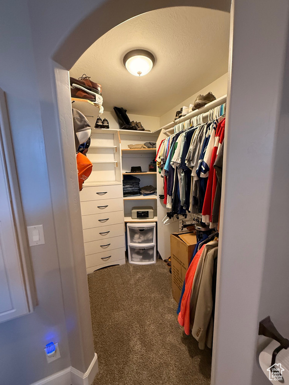 Spacious closet featuring carpet