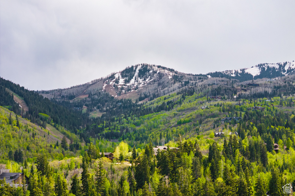 Mountain view featuring a heavily wooded area