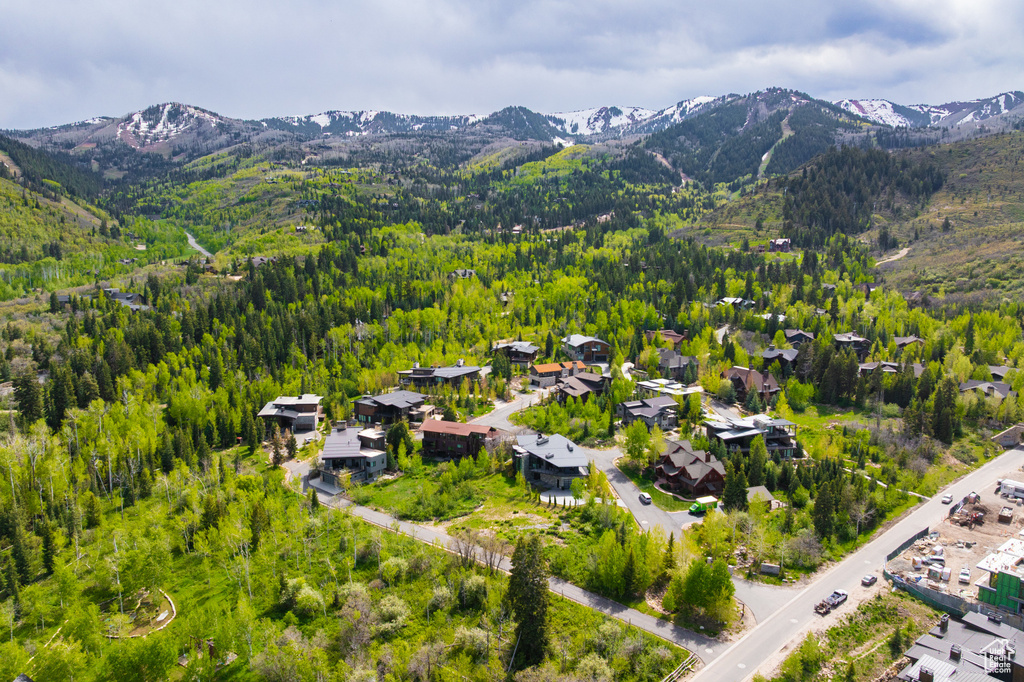 Aerial view of a mountain backdrop and a forest