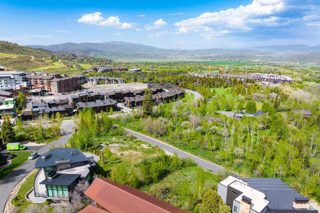 Bird's eye view of mountains