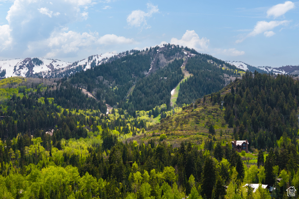 View of mountain backdrop featuring a forest