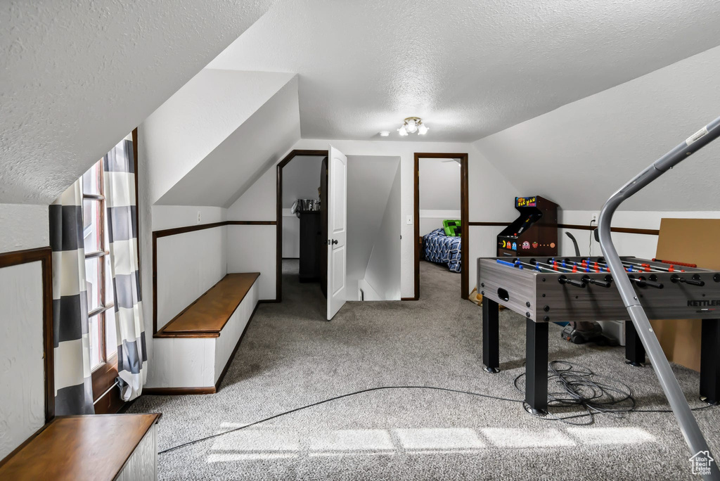 Rec room with a textured ceiling, lofted ceiling, and carpet