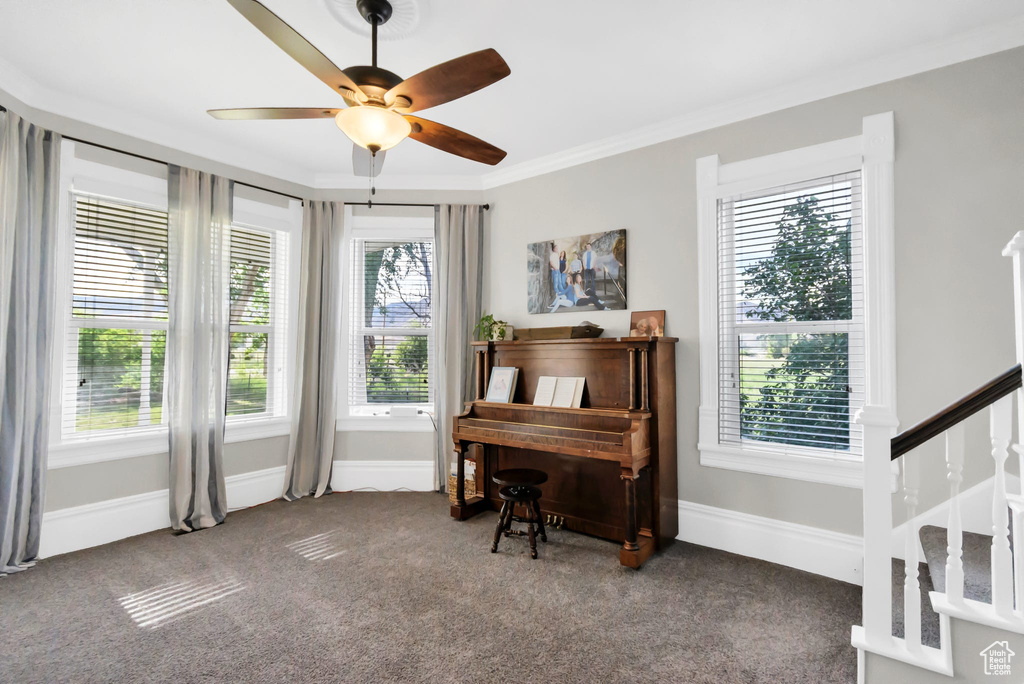 Carpeted home office featuring a ceiling fan, baseboards, and crown molding