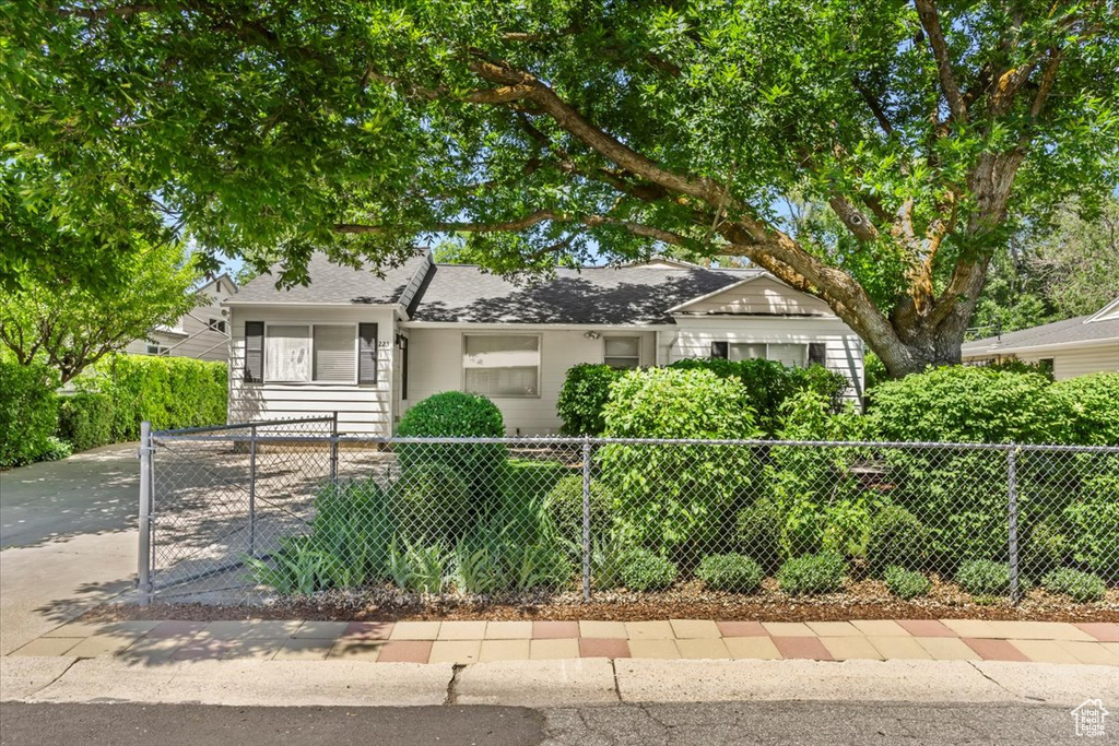 View of front of house featuring a fenced front yard, driveway, and roof with shingles