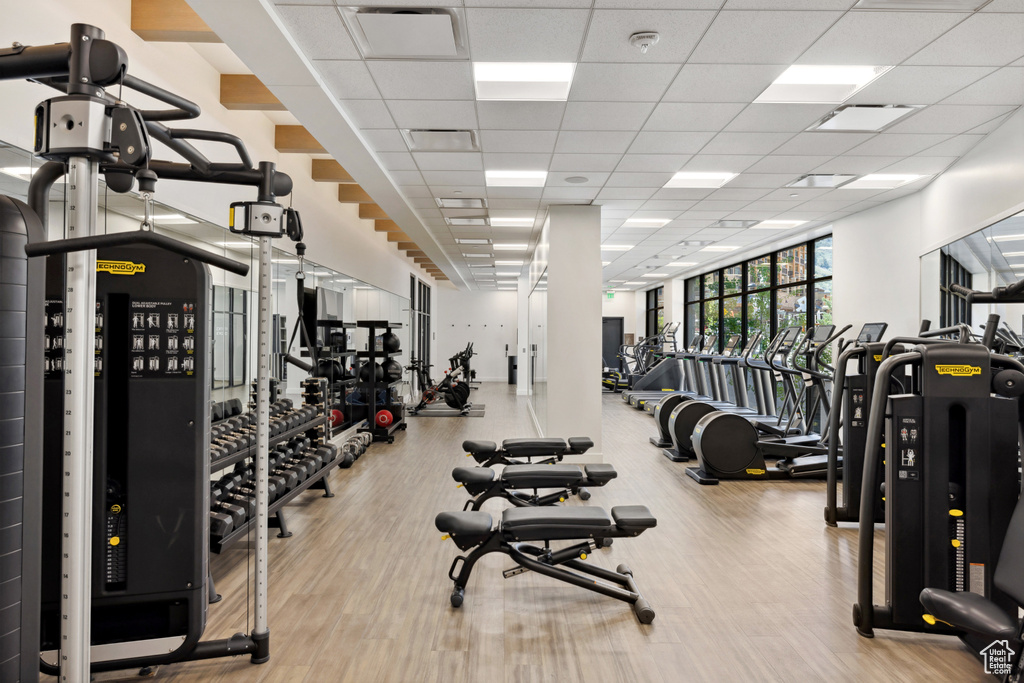 Exercise room featuring wood finished floors and a paneled ceiling
