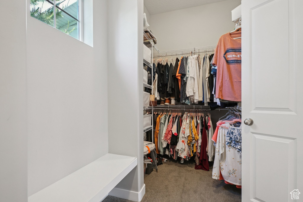 Spacious closet with carpet floors