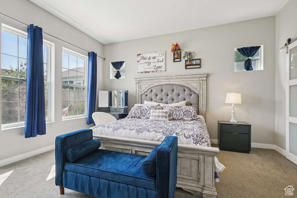 Carpeted bedroom with a barn door and baseboards