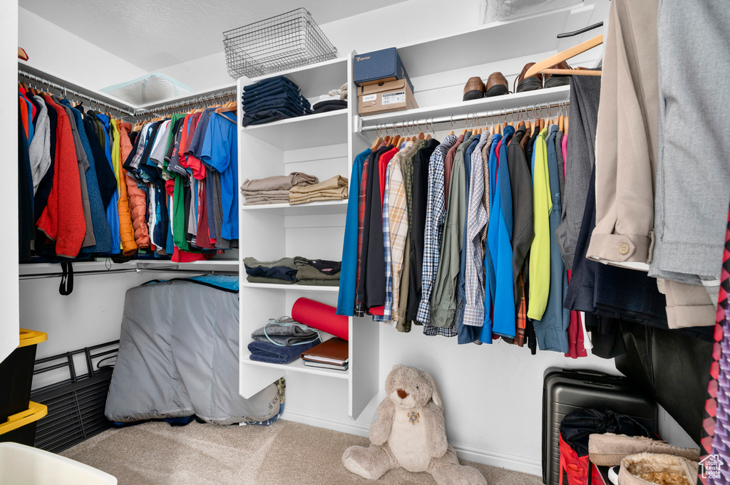 Spacious closet with carpet floors