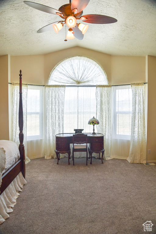 Carpeted bedroom with a textured ceiling, a desk, and ceiling fan