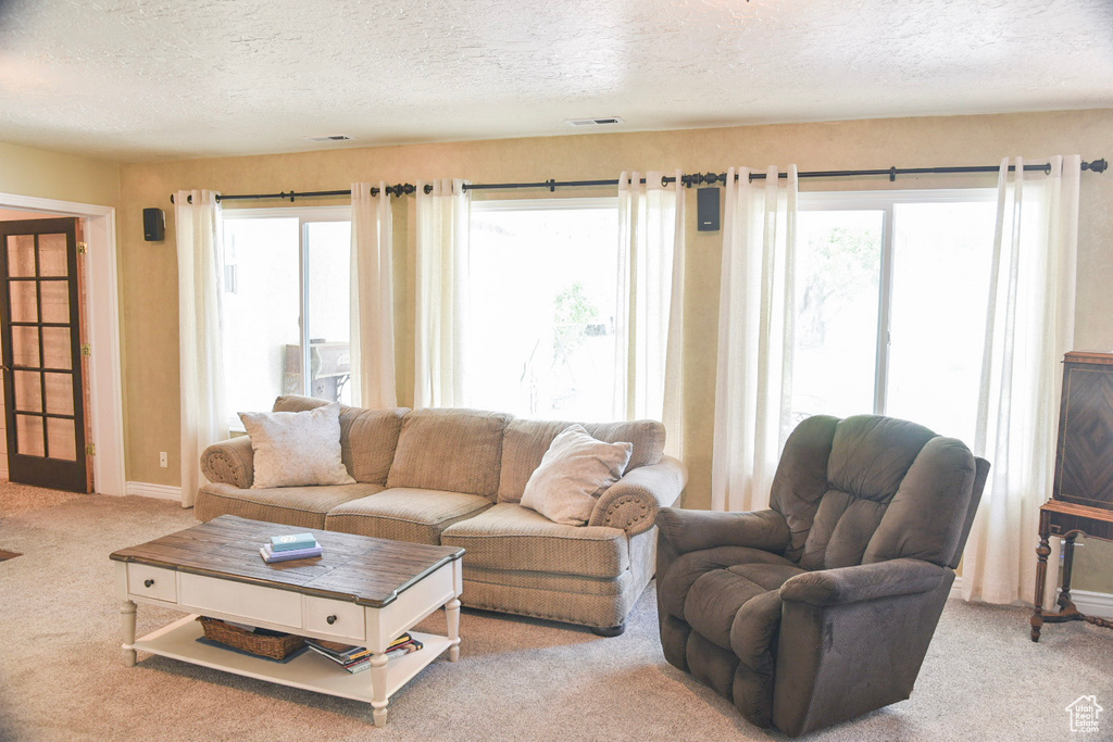 Living area with a textured ceiling, carpet floors, plenty of natural light, and baseboards
