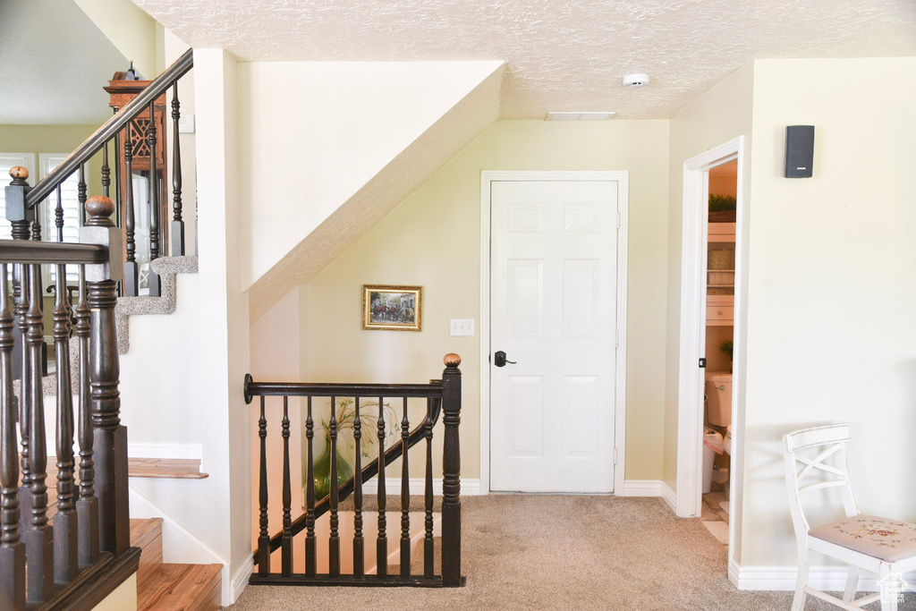 Staircase with carpet floors, a textured ceiling, and baseboards