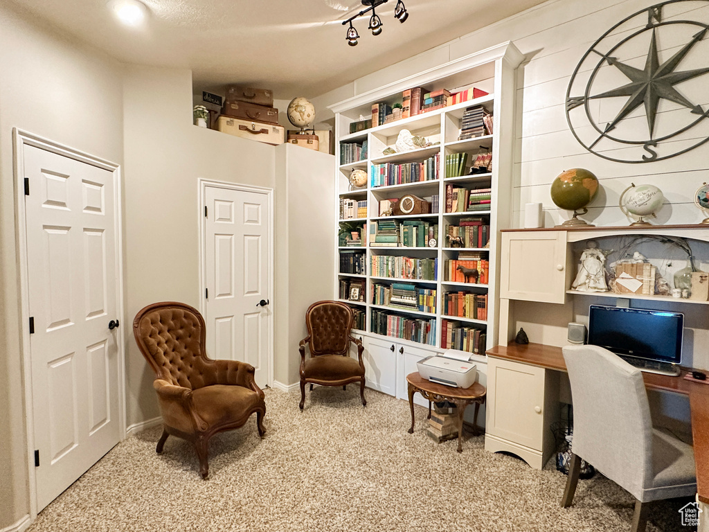 Home office featuring carpet floors