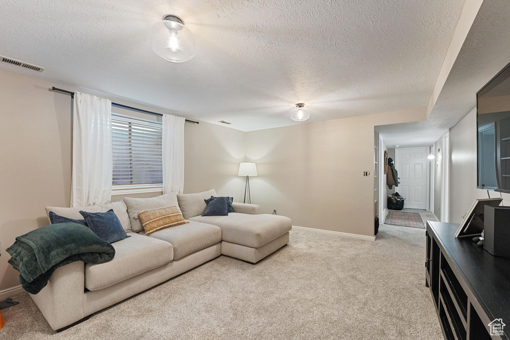 Living area with a textured ceiling, baseboards, and carpet floors