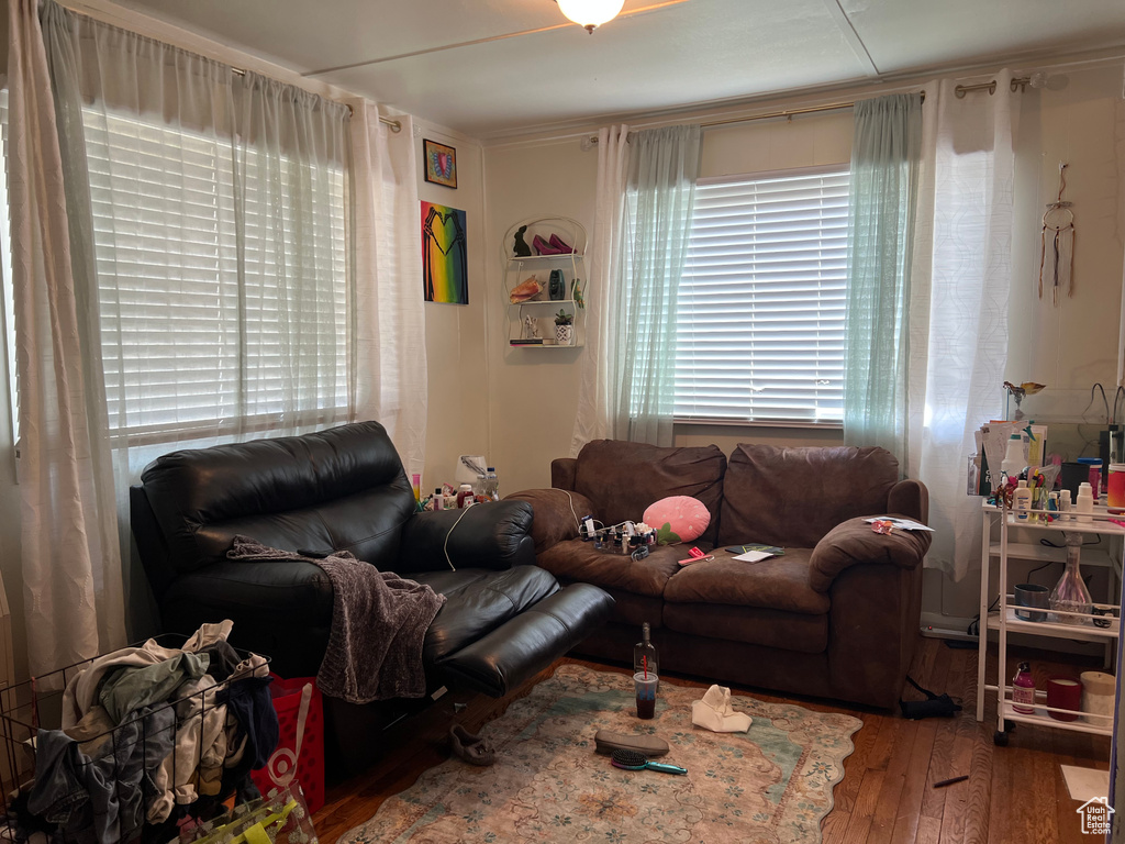 Living room featuring wood-type flooring