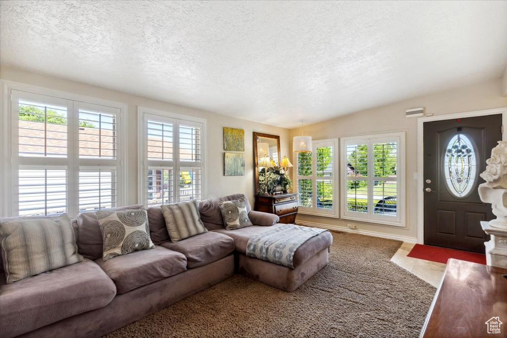 Living room with plenty of natural light and a textured ceiling