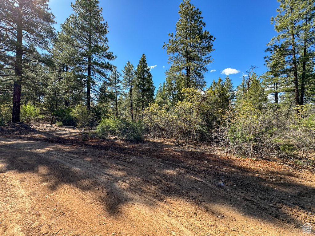 View of undeveloped land