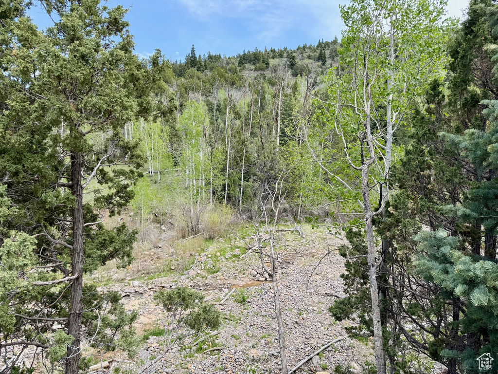 View of wooded area