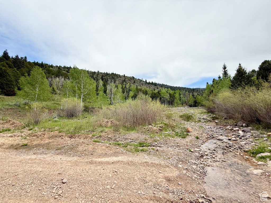 View of wooded area