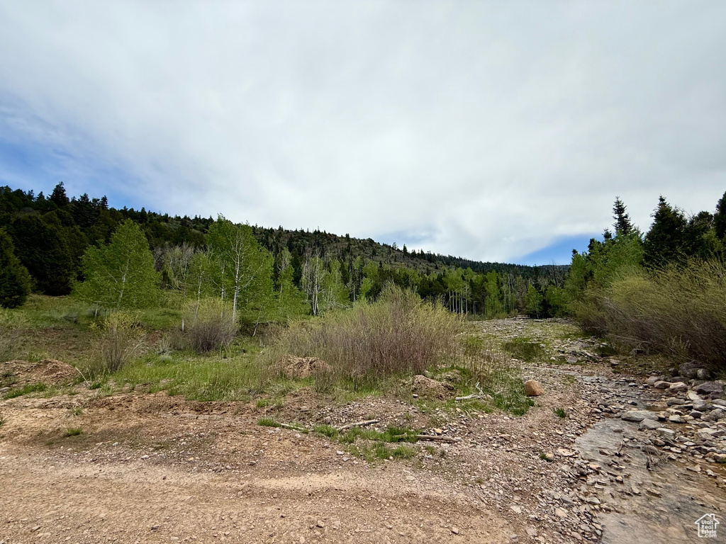View of woods