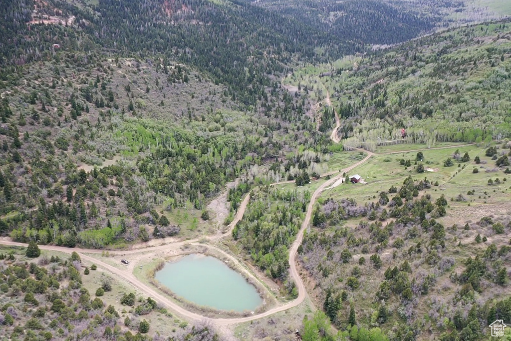 Aerial overview of property's location with a forest and a water and mountain view