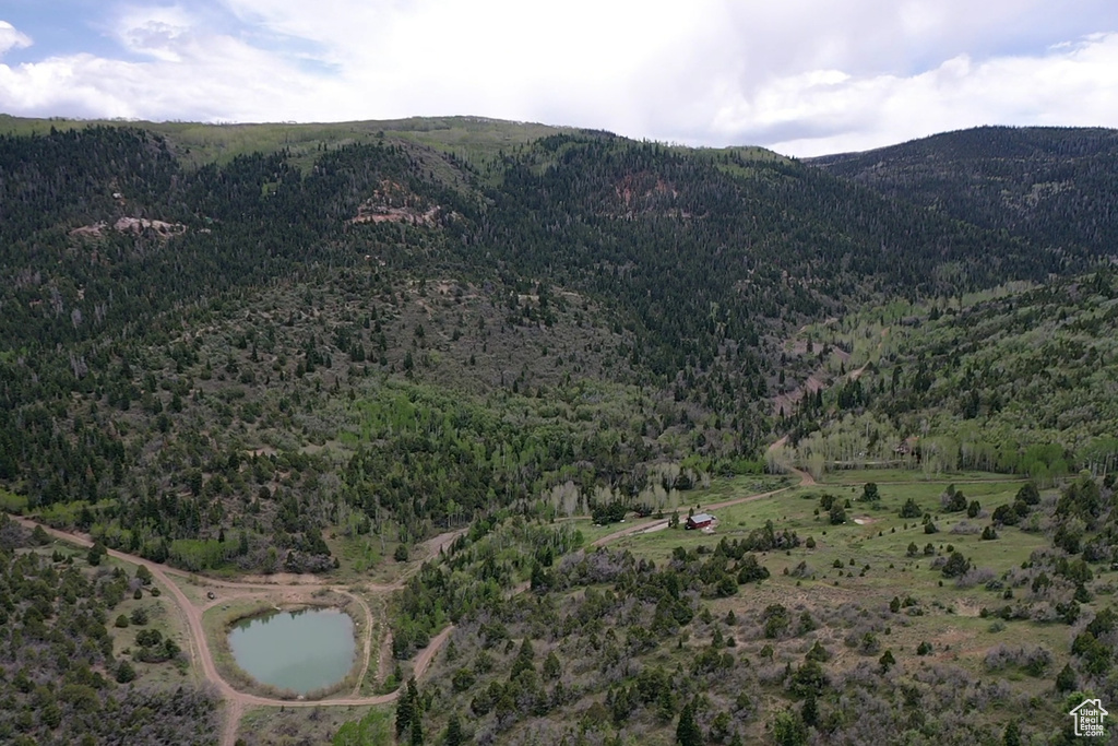 Mountain view featuring a forest