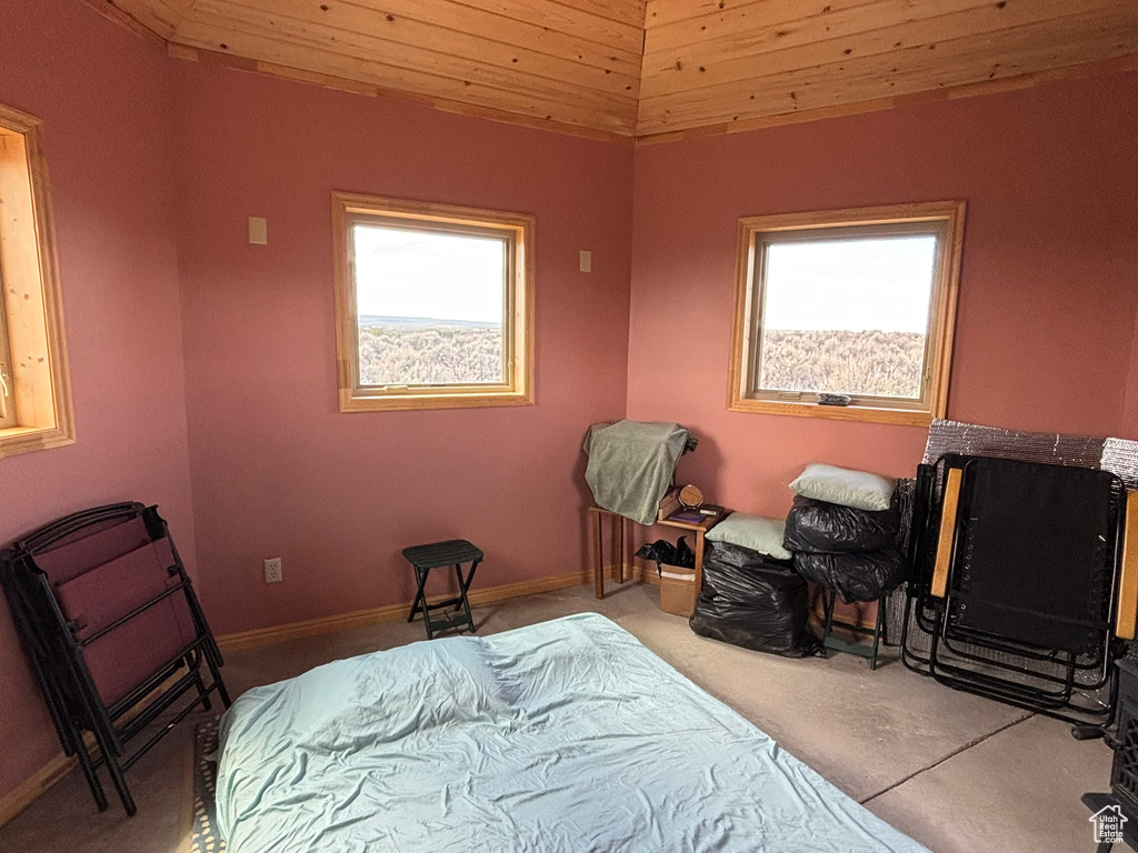 Carpeted bedroom with multiple windows and baseboards