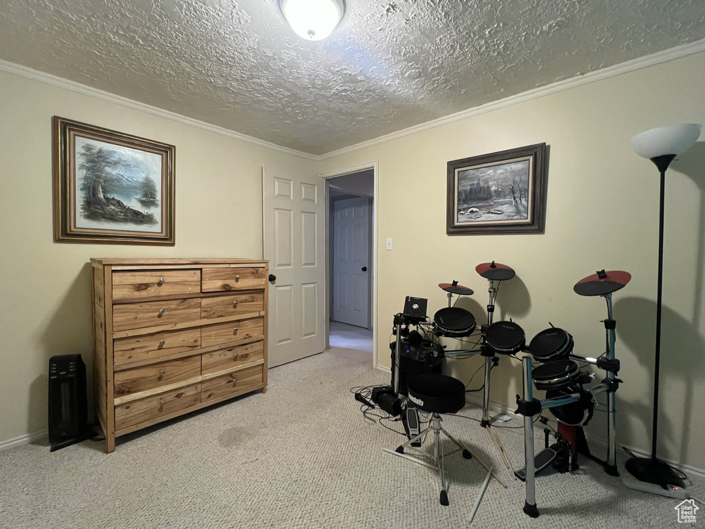 Office space featuring carpet, crown molding, a textured ceiling, and baseboards