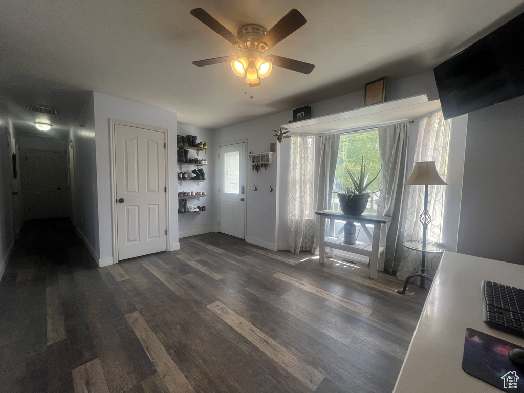 Entryway featuring dark wood-style floors, healthy amount of natural light, a ceiling fan, and baseboards
