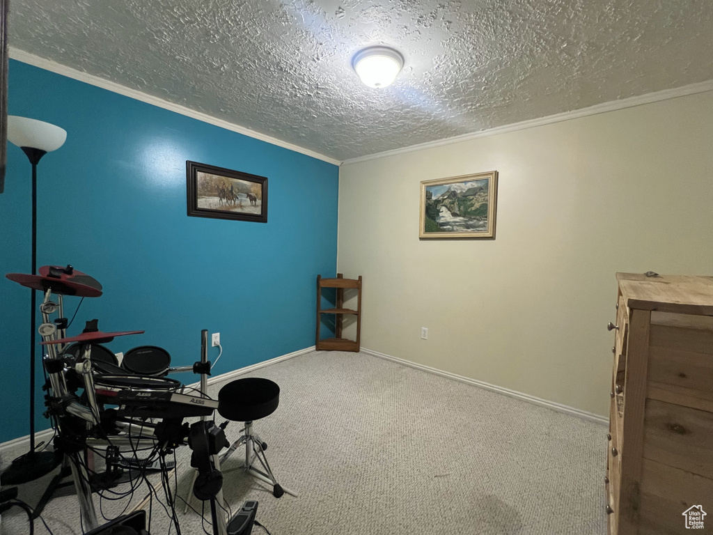 Workout area with crown molding, carpet floors, a textured ceiling, and baseboards