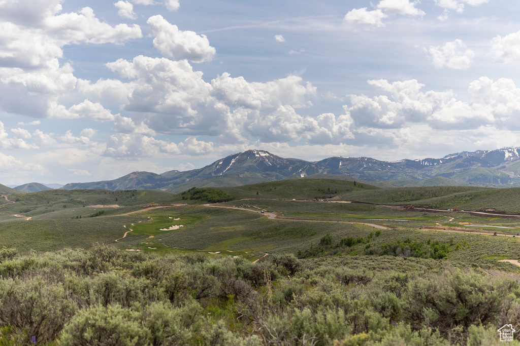 Mountain view
