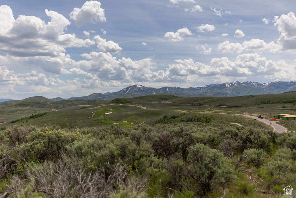 Mountain view