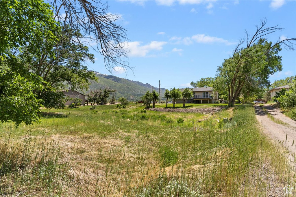 View of yard featuring a mountain view and a view of rural / pastoral area