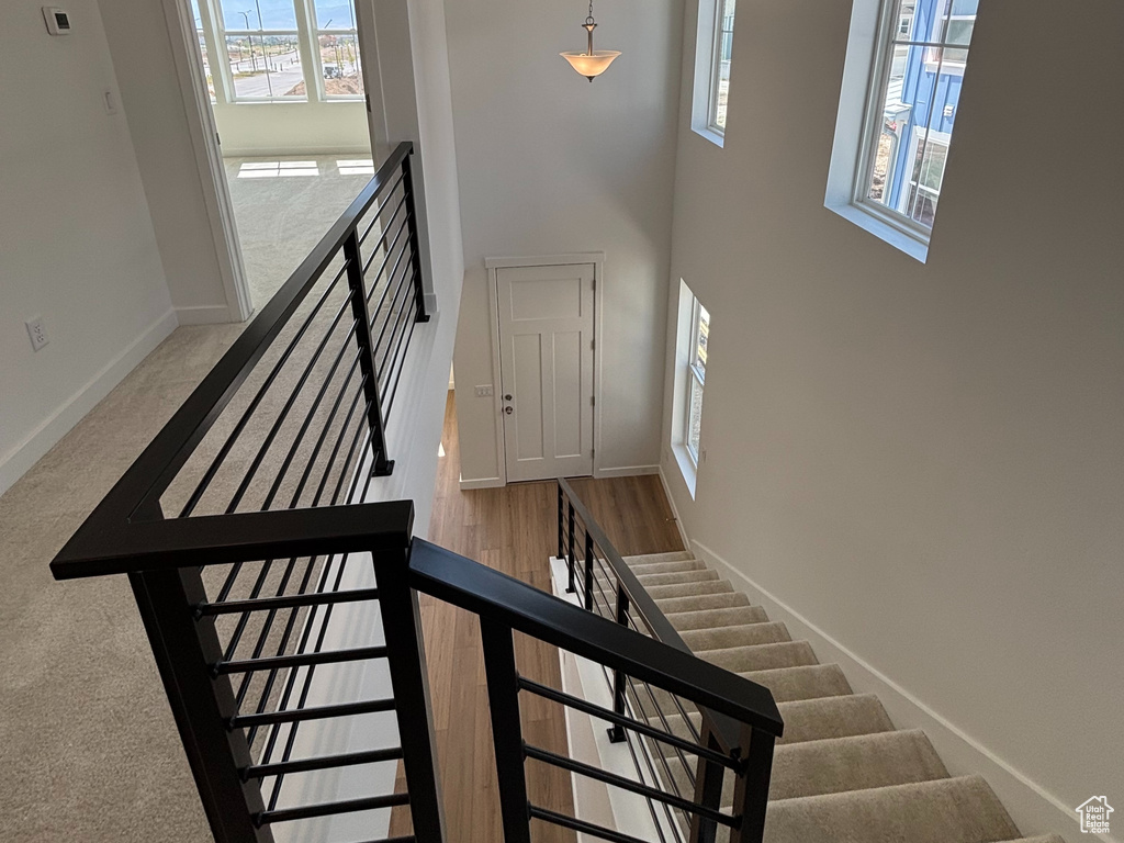 Staircase featuring baseboards and carpet