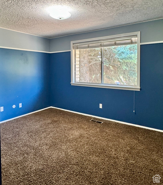Spare room with carpet, a textured ceiling, and baseboards