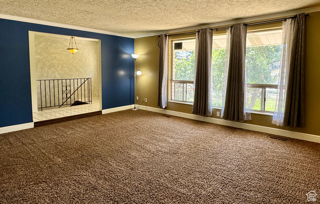 Unfurnished room featuring a textured ceiling, crown molding, carpet, baseboards, and plenty of natural light