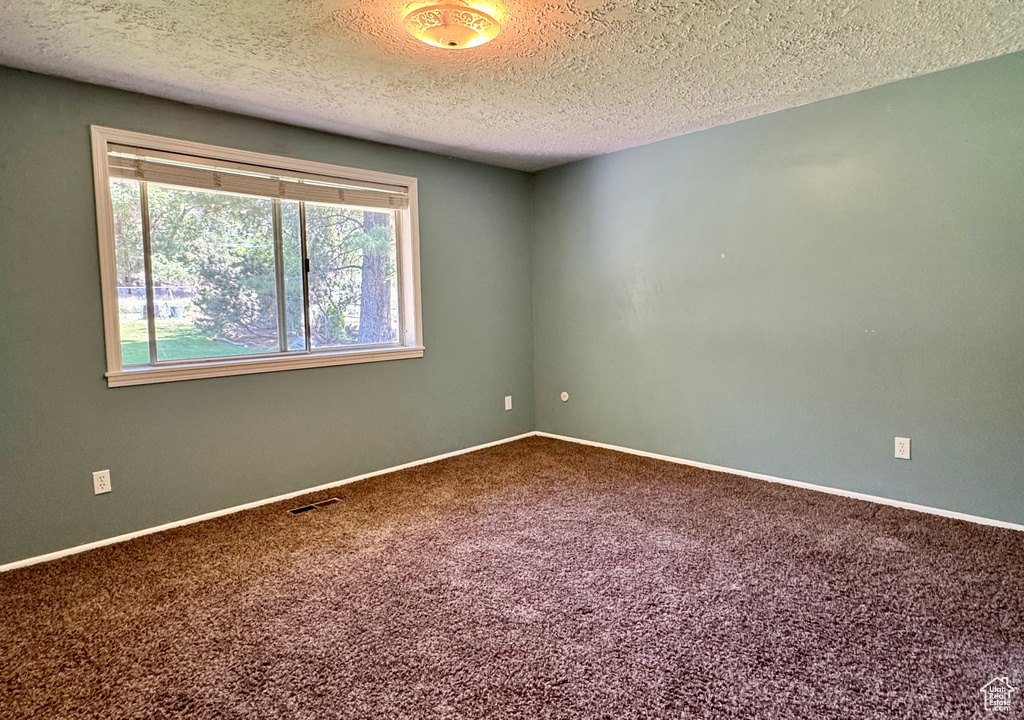Spare room with carpet flooring, a textured ceiling, and baseboards