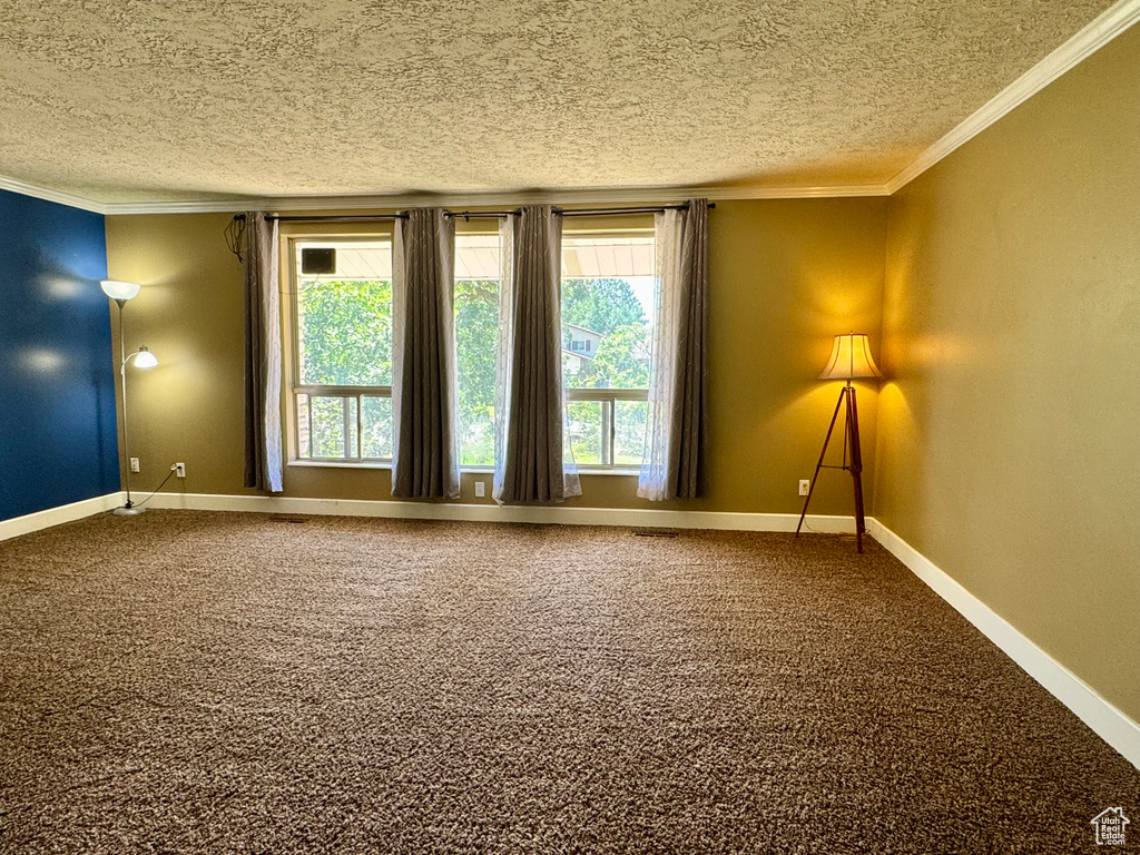 Spare room featuring a textured ceiling, crown molding, carpet, and baseboards