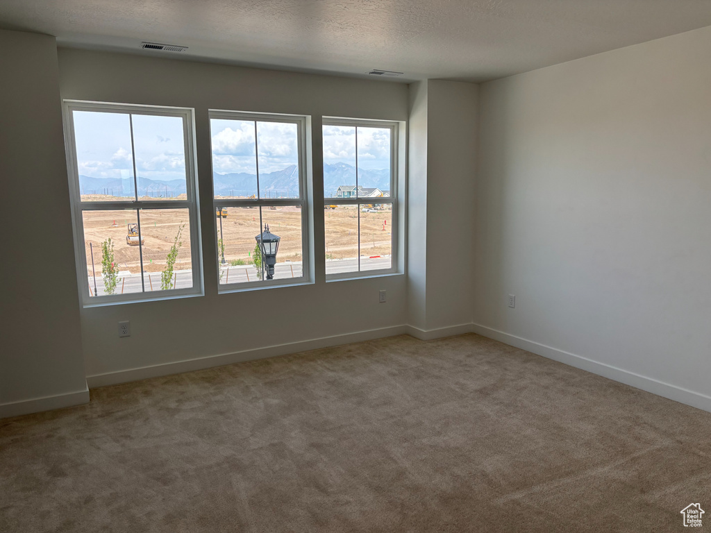 Spare room featuring carpet floors, baseboards, a mountain view, and a textured ceiling