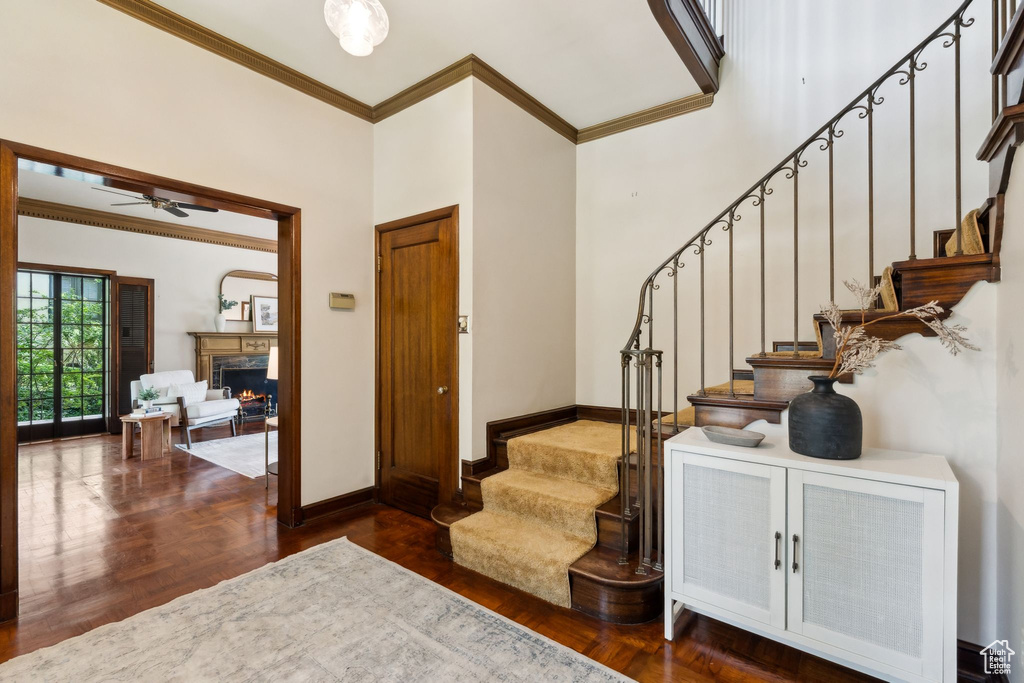 Staircase with ornamental molding, wood finished floors, baseboards, ceiling fan, and a lit fireplace
